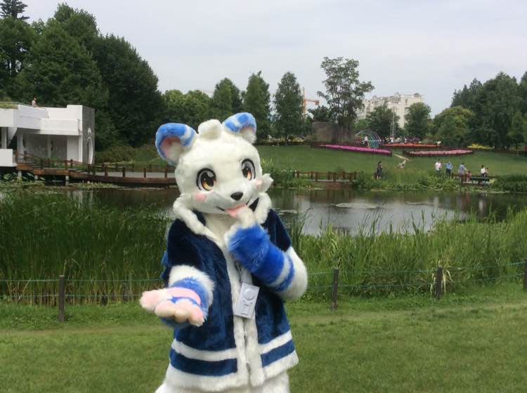 角色：呆呆 摄于2017年6月