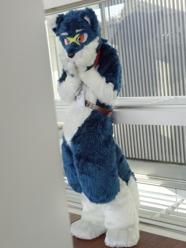 国外精选兽图（不限风格）