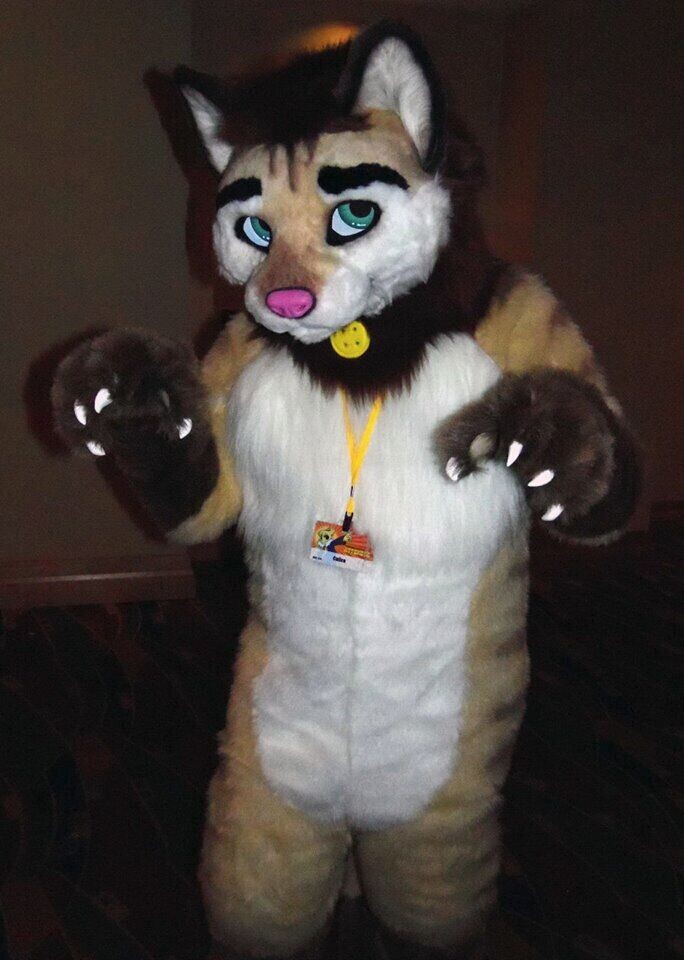 【笨妮主编】国外精选兽图②