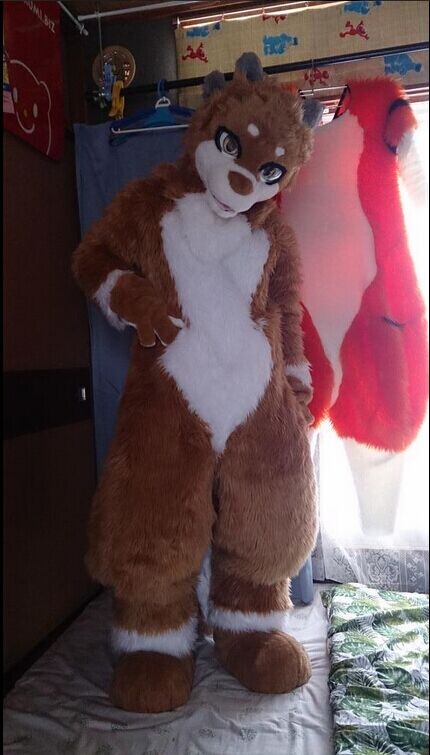 国外精选兽图（不限风格）